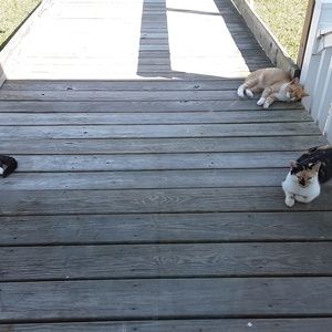 Meet your Posher, Brenda